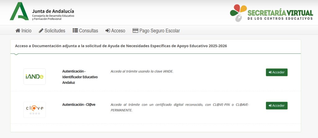 ayudas de la Junta de Andalucia para alumnos con Necesidades Especiales