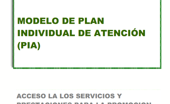 programa individual de atencion PIA